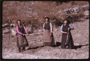 Women farmers working together in a field.